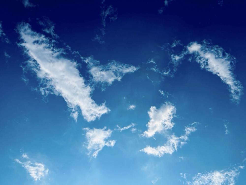 DIETHYLMONO PROXIMAL