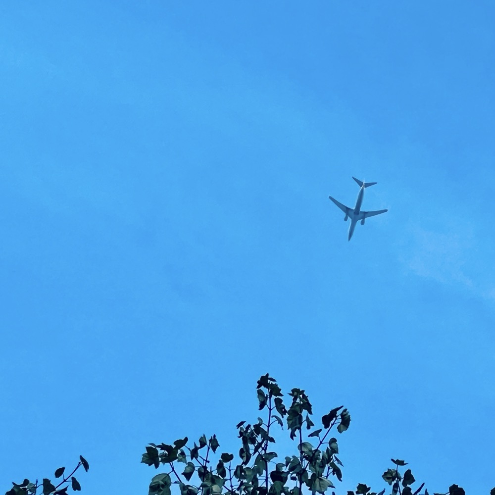 DON’T FUCK WITH CATS