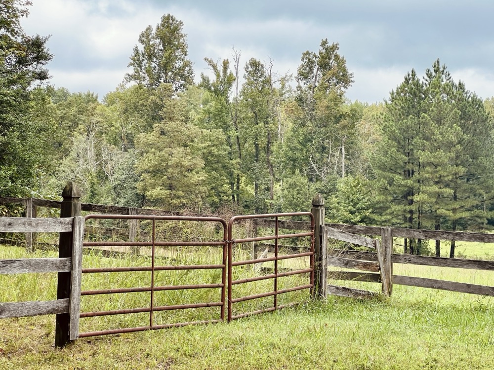 TUBESWORLD MITOCHONDRIAL