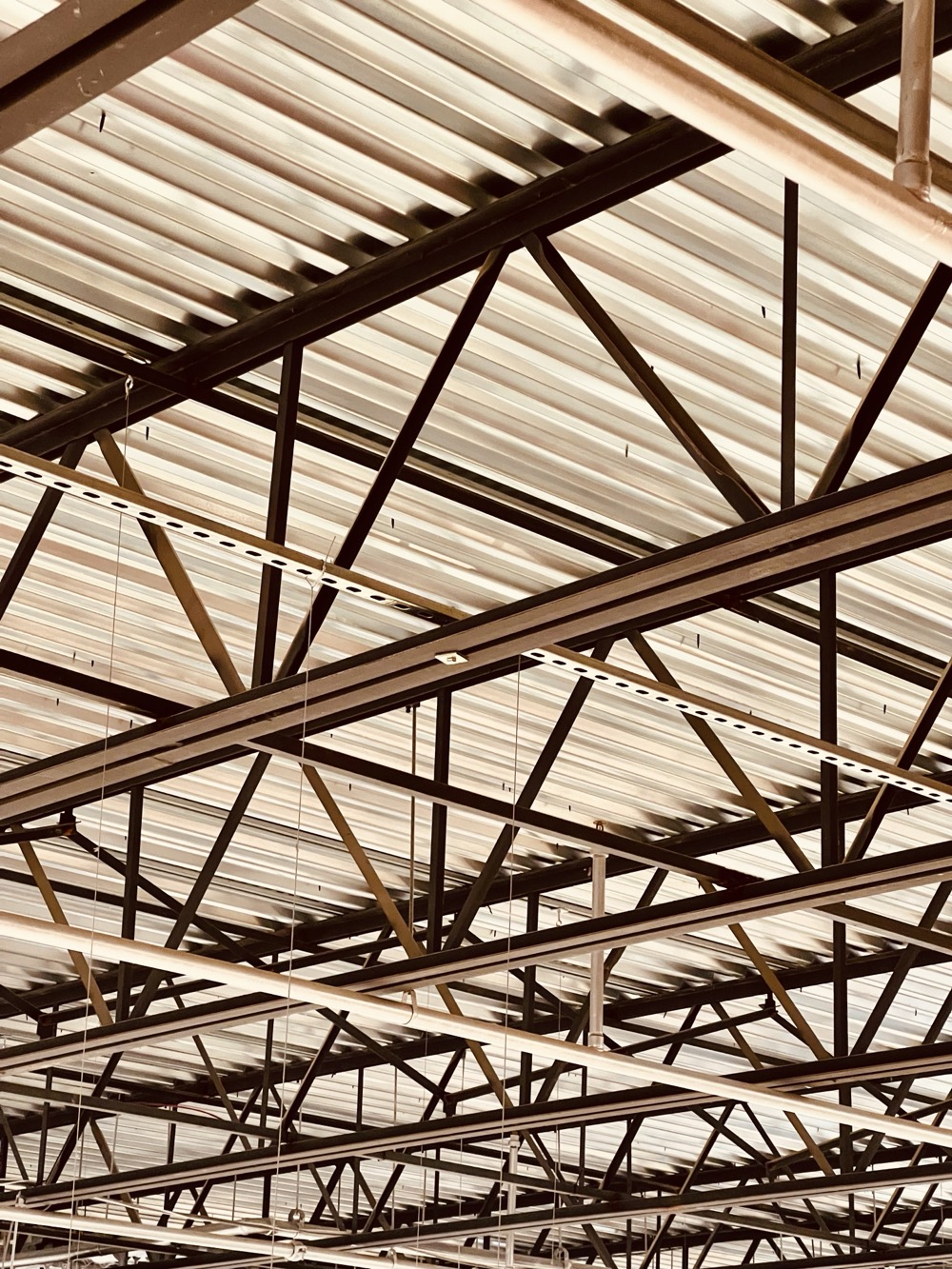 IMMORTAL CINNAMON HEMORRHAGING