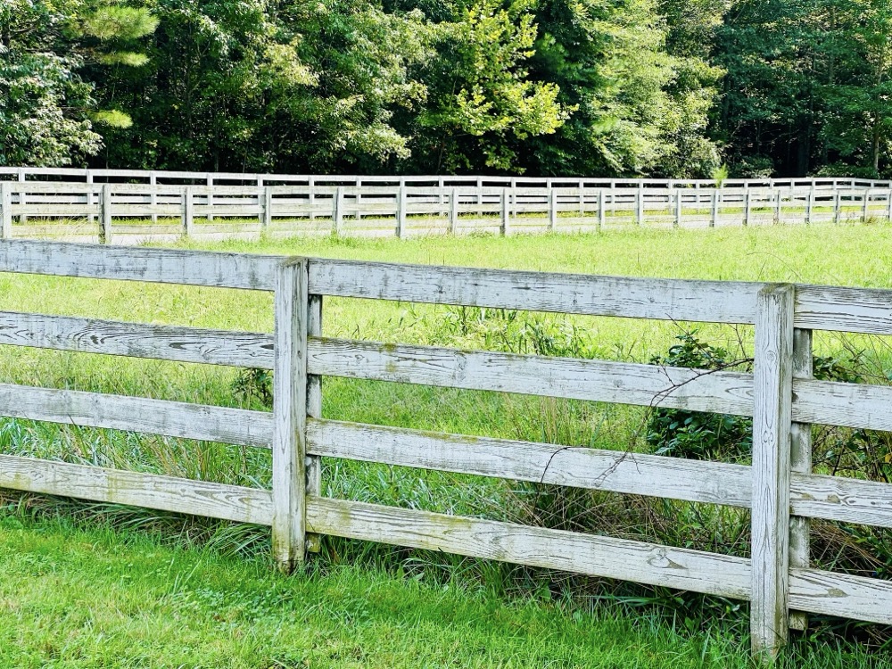 HAVANA KUSH FOUR LOCO