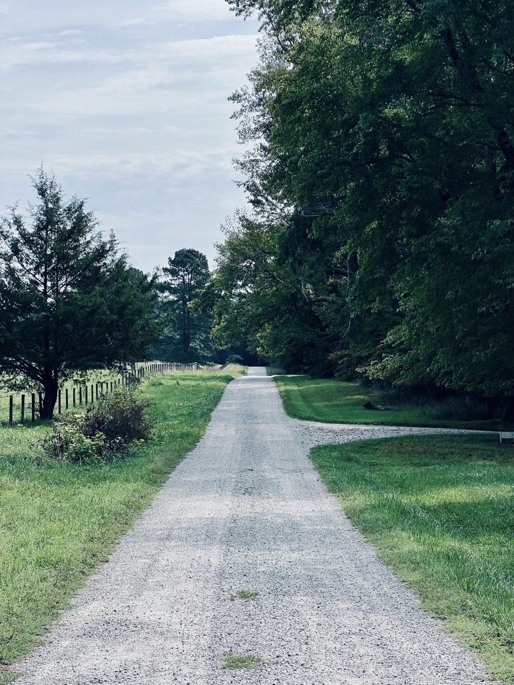 MULTICOMBI TERRESTRIALS