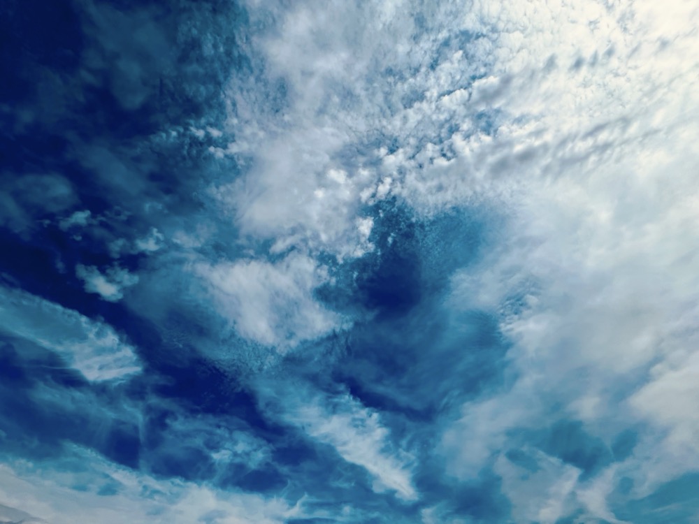 BENEDICTION RESEARCH TERRIBLE