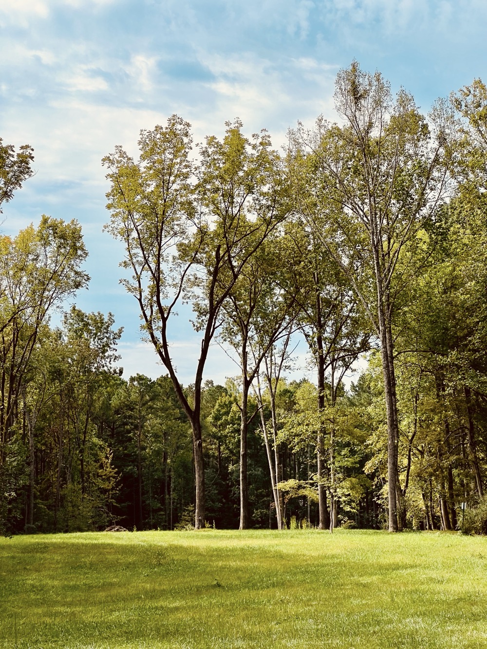 PRESENCE OF MULTIPLE DIVINITIES