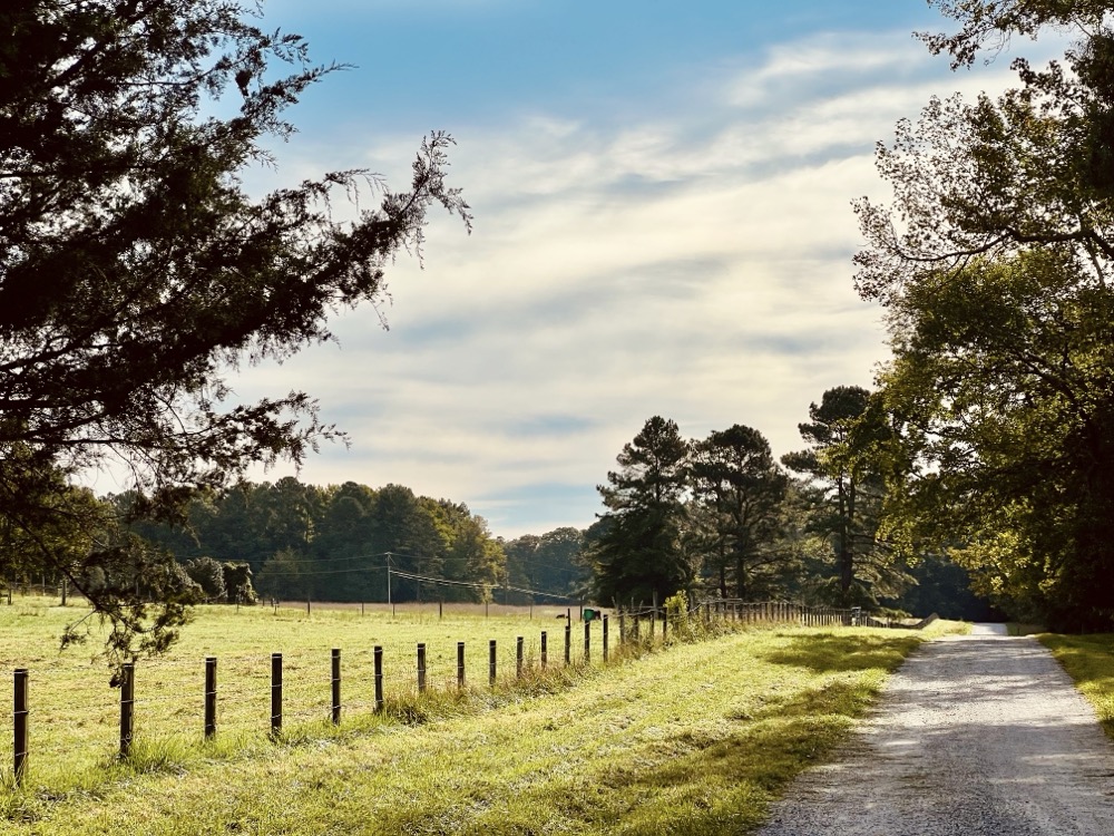 PRESENCE OF RADIANT DEVA ENERGY