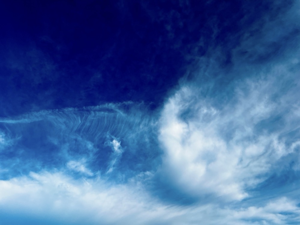 CORN TORNADO LEXICAL