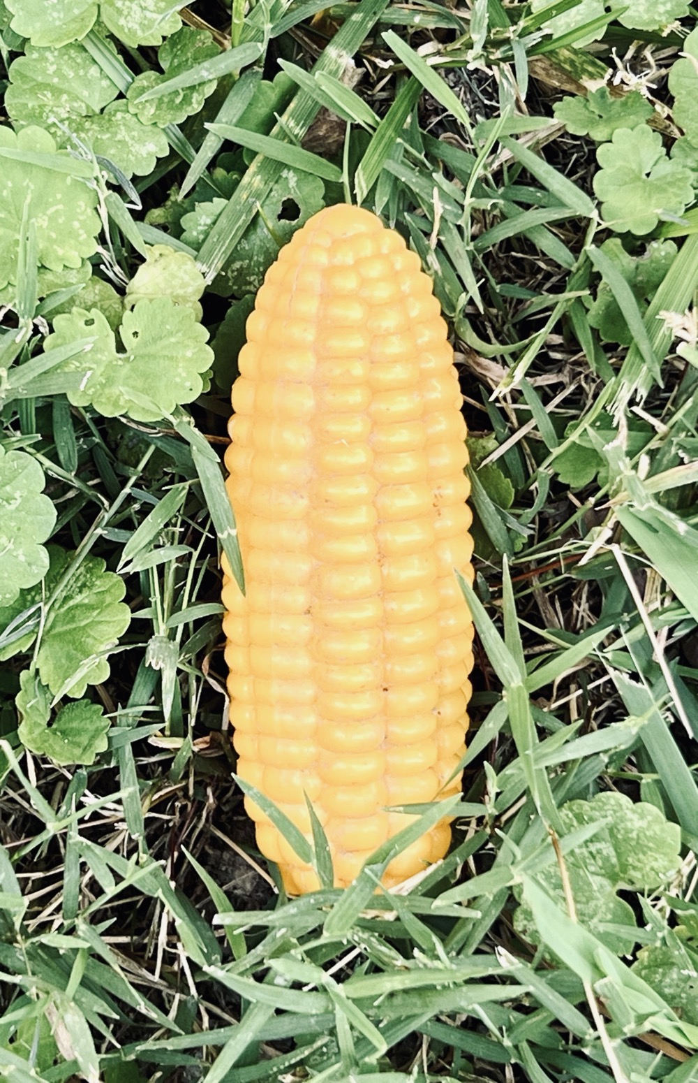 UNIQUE MAKES US BEAUTIFUL