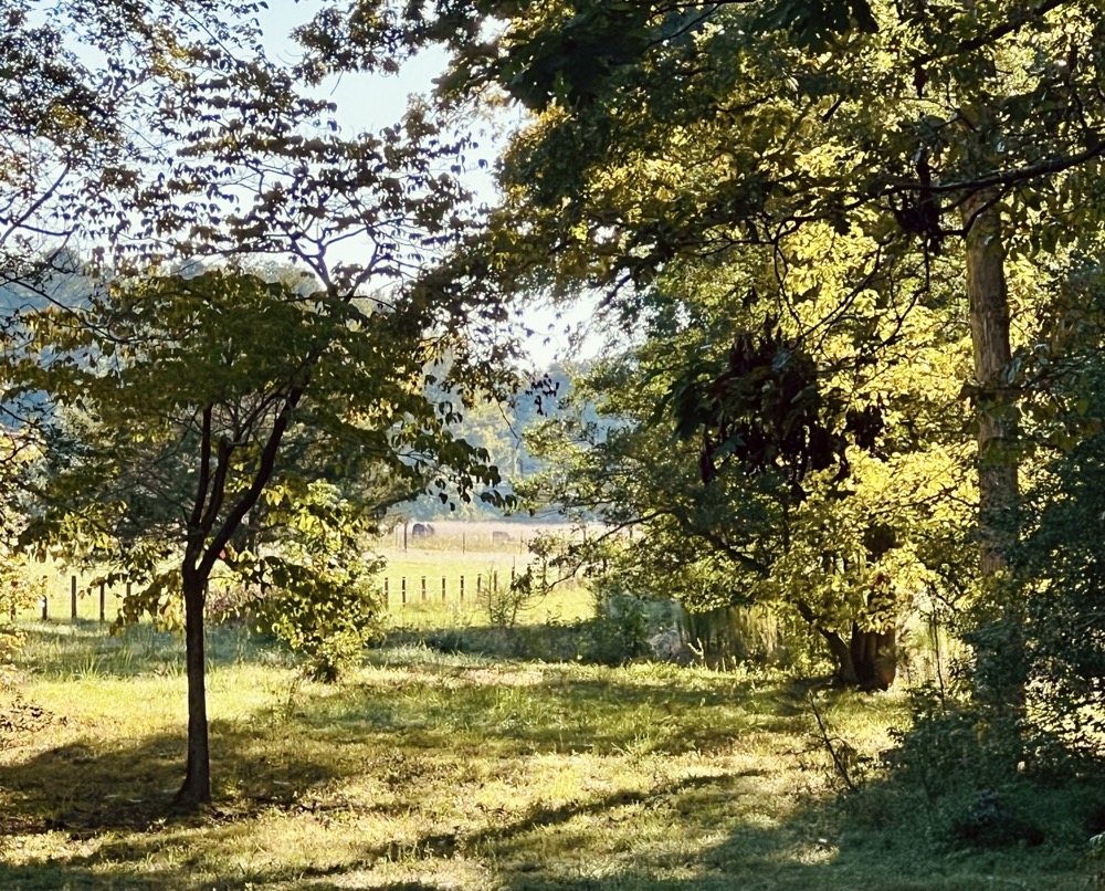 ENERGY POOL DECENTRALIZED