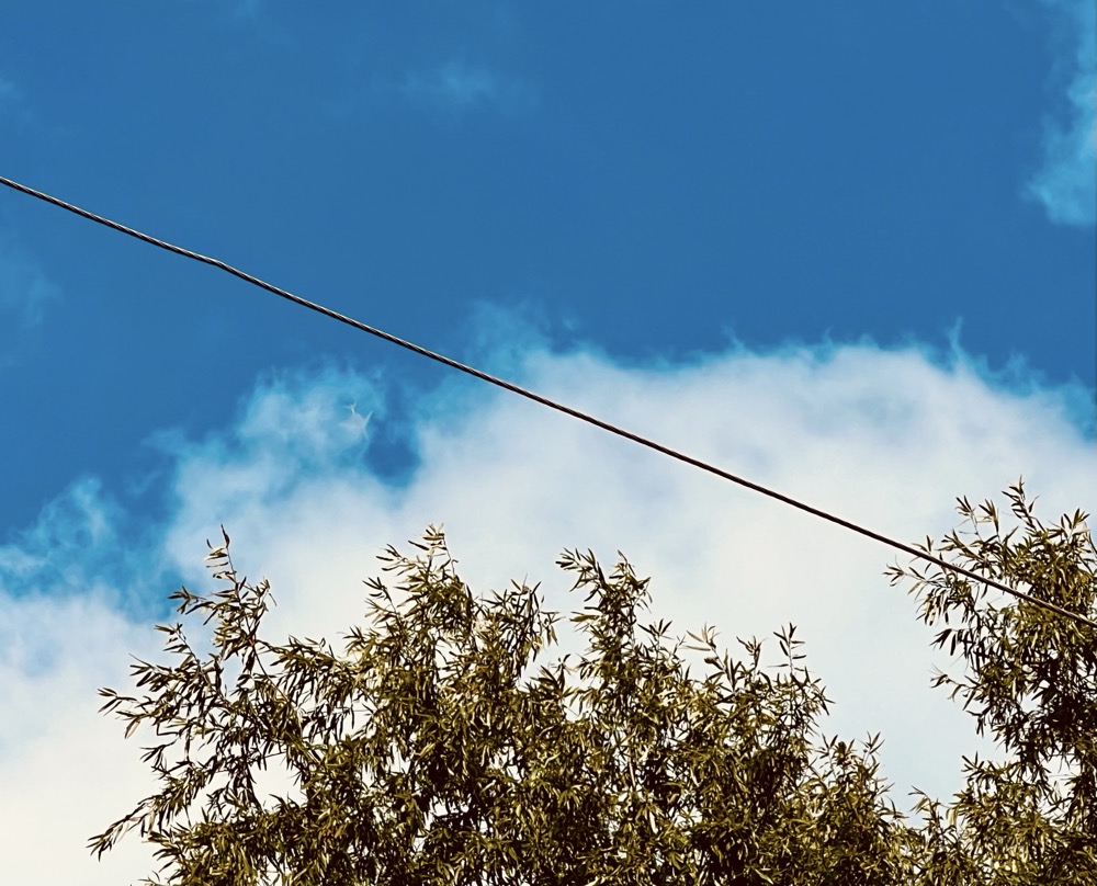 TACHYON SURROGATE 77