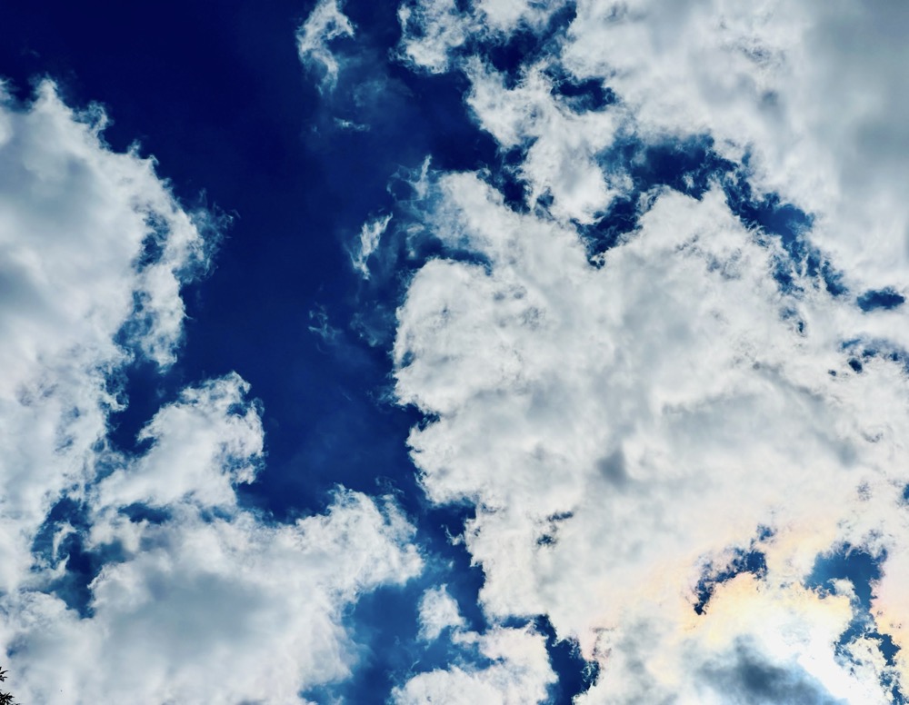 COULD BE OR NOT I DUNNO