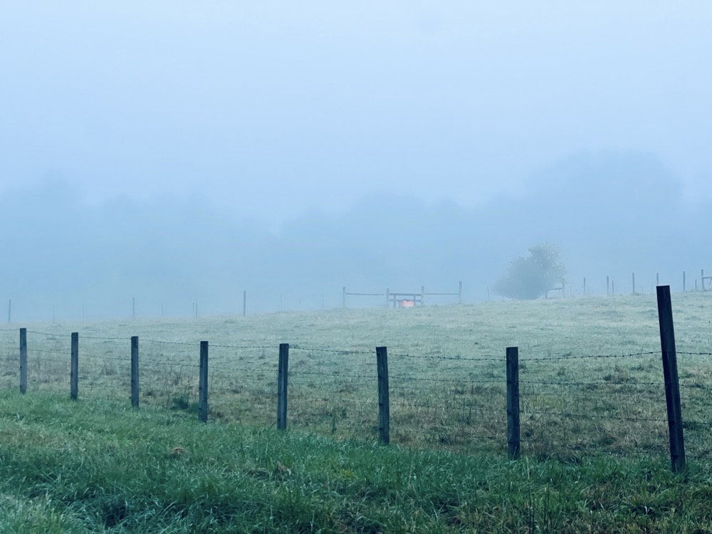 LUXURY GHOST INTERFACE