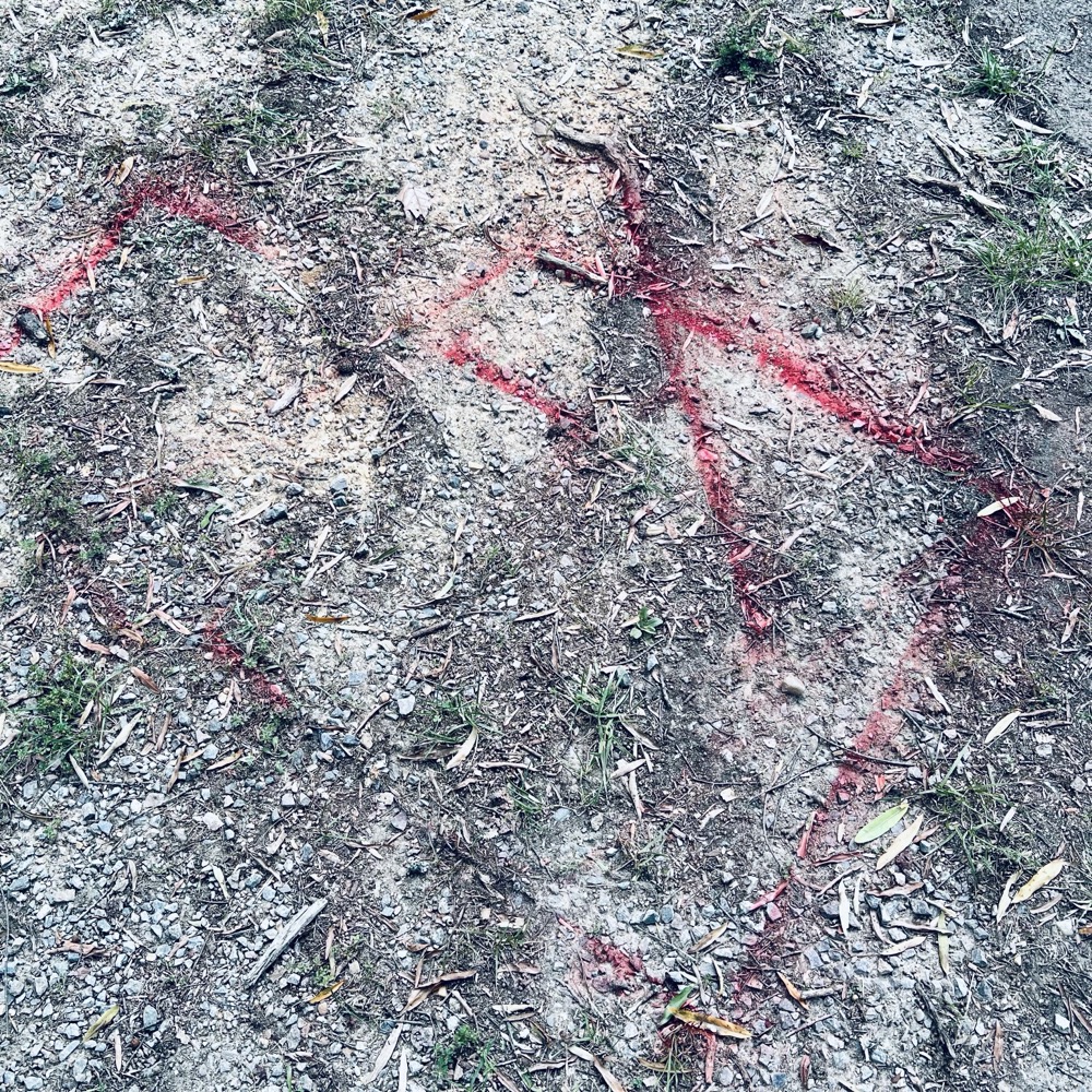 ESTEEMED AND PRINCIPLED