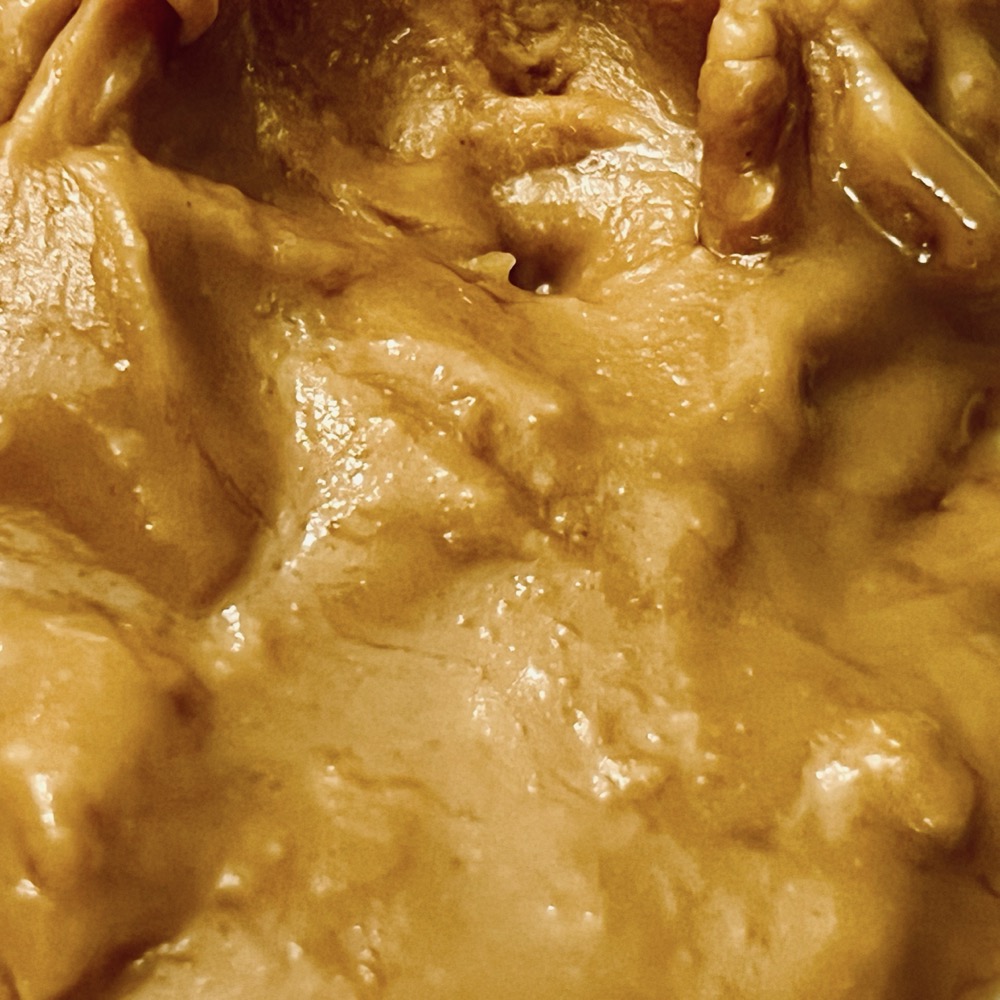 PANDA AND A CAT MIXED TOGETHER