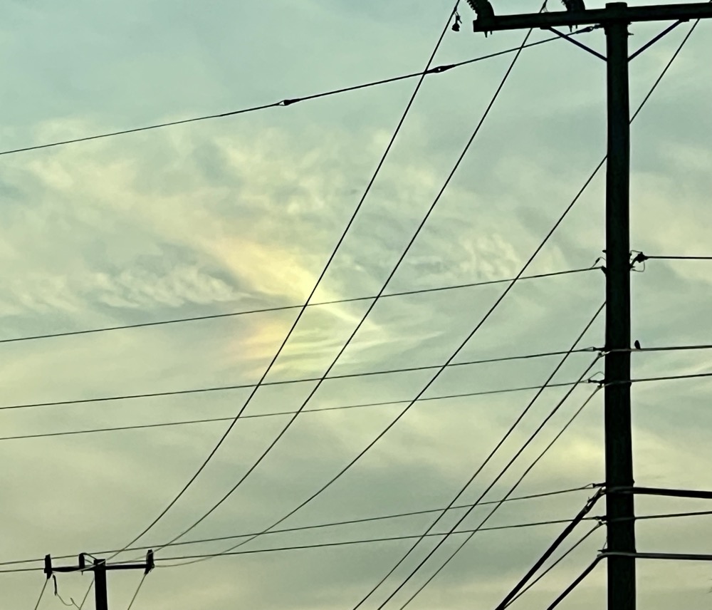 MEATCHELLE CAR BLOOD