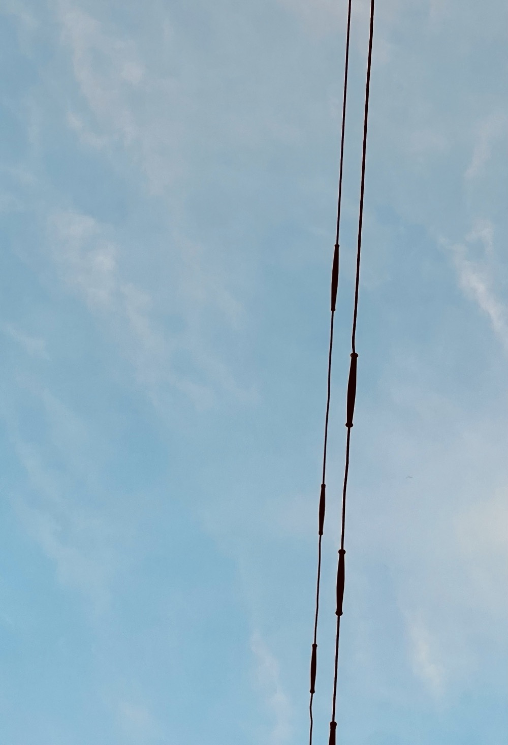 EXECUTIVE FUNCTION DRIPPING