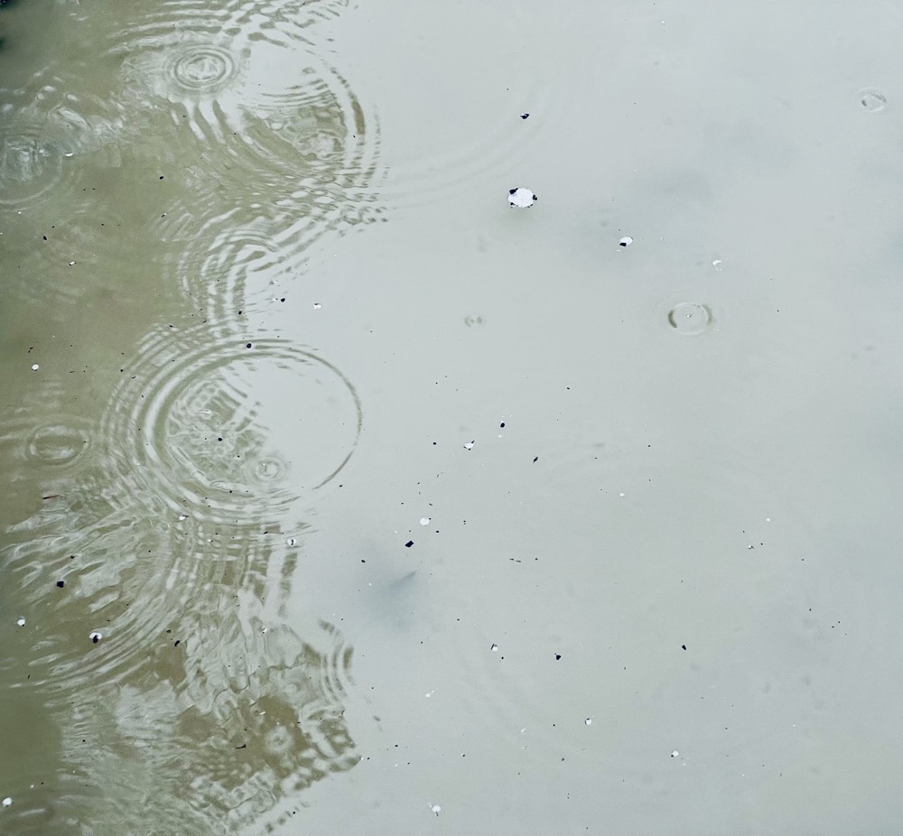 NARCOCINNAMON ECO REGALIA