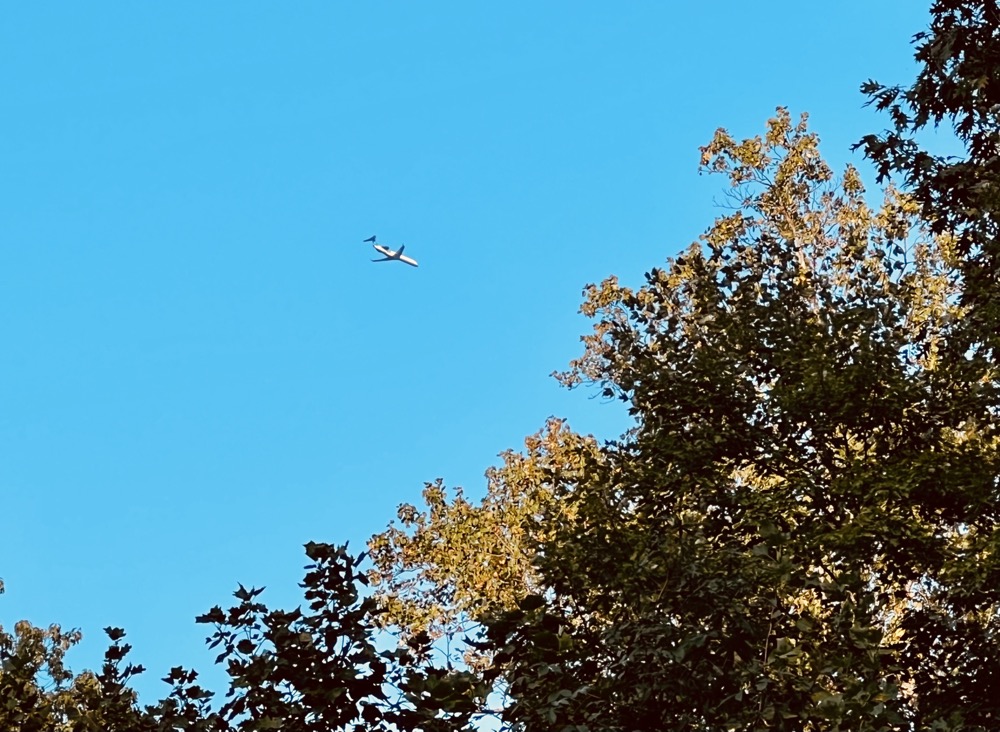 PHOENICIAN TRIPLE POLYRHYTHM