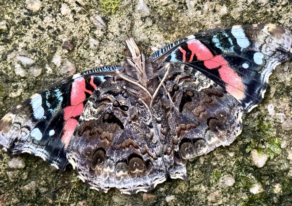 HEARTFELT AND SINCERE