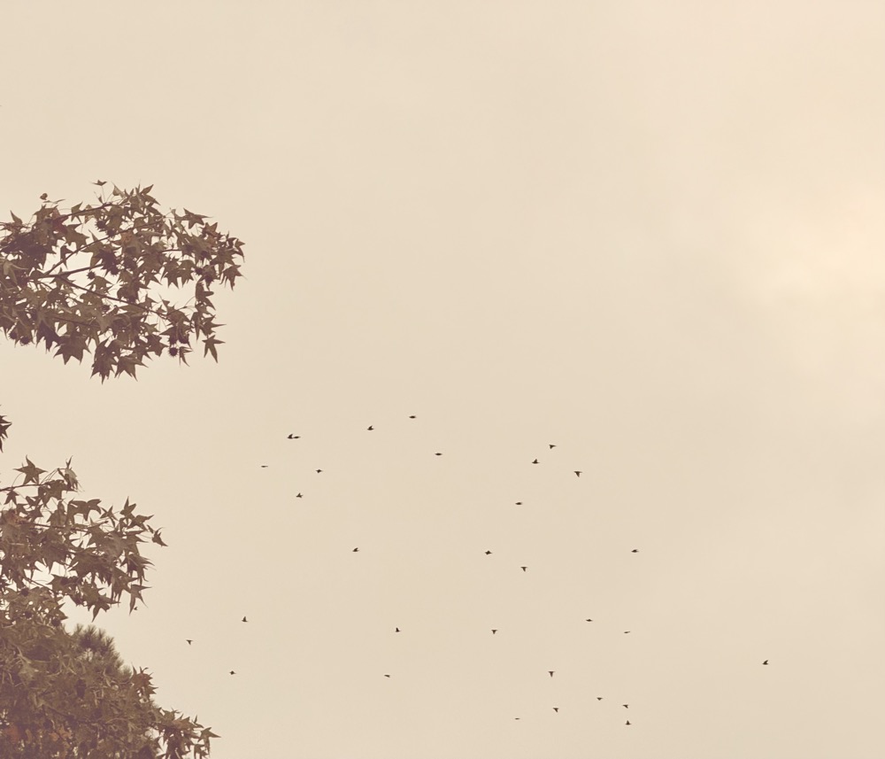 OVERWHELMING GRANDMA SMELL