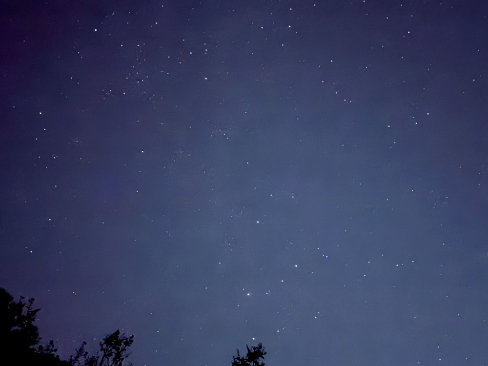 HP-TXR POTATO’S HELLA