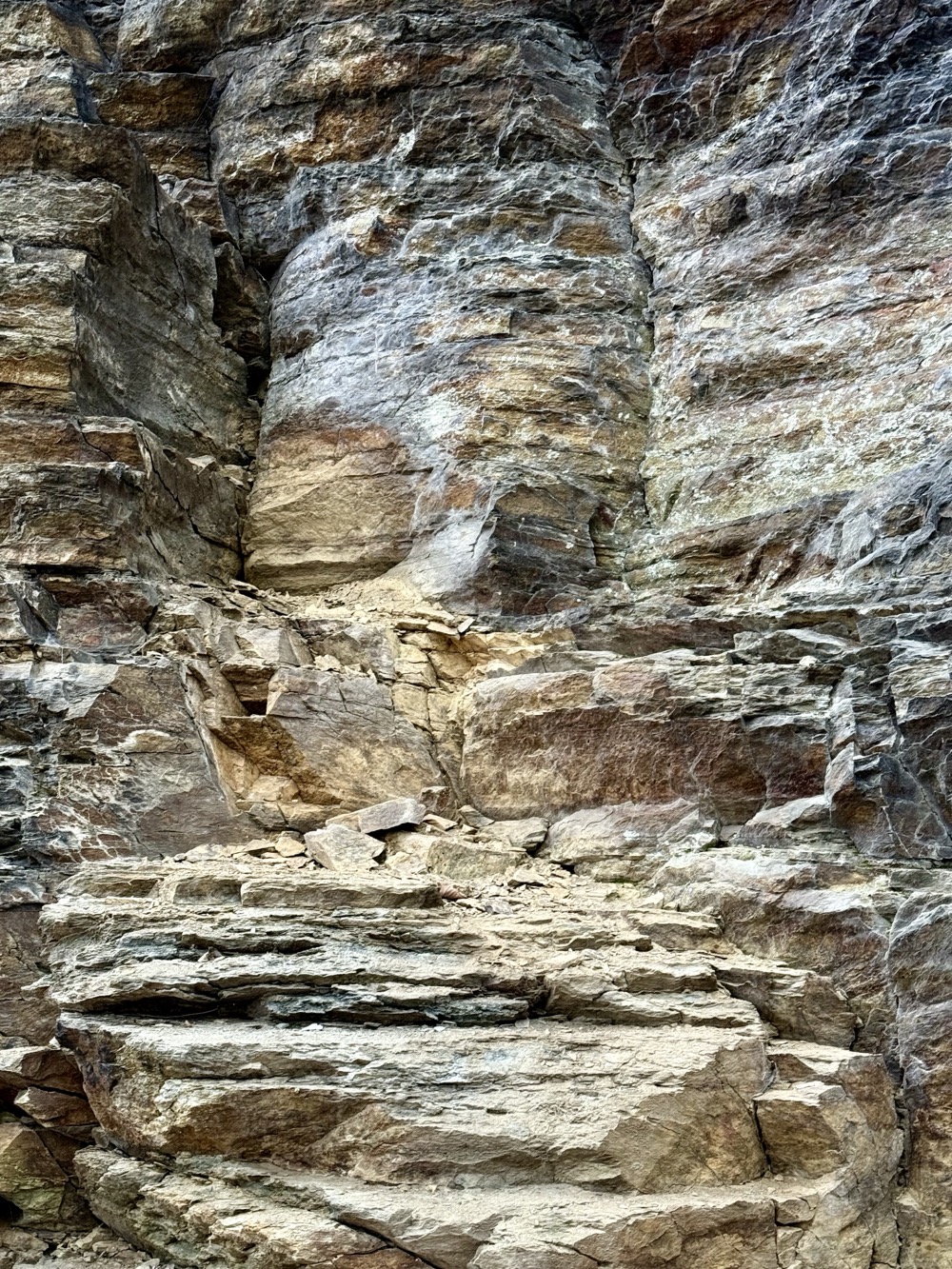 NEGLIGENCE 7 (TOASTER SHIT)