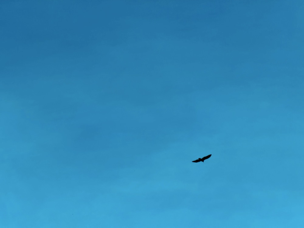 BLOODLUST SECOND BORN