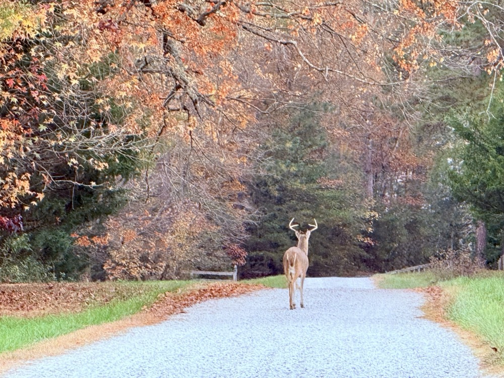 CONFIRMING YOUR RESERVATION