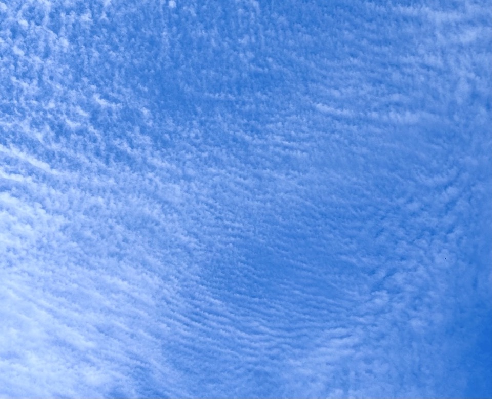 BLISSED OUT NO WORRIES MATE