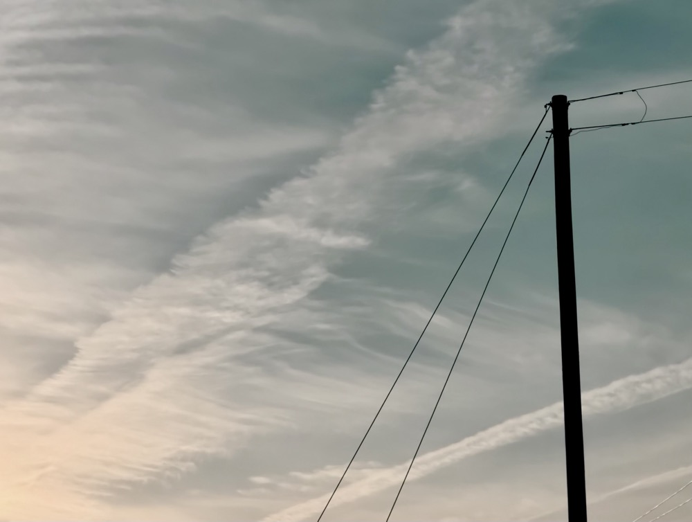 AMPED WIGGLER MALTODEXTRIN