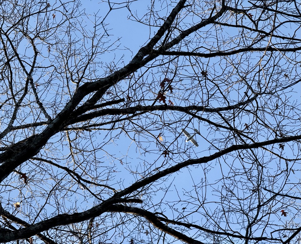 SKY GOD ASCENSION 87