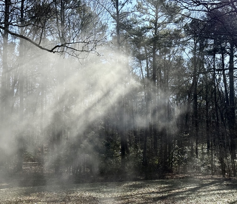 ULLIN TOUCHING HAND OF GOD