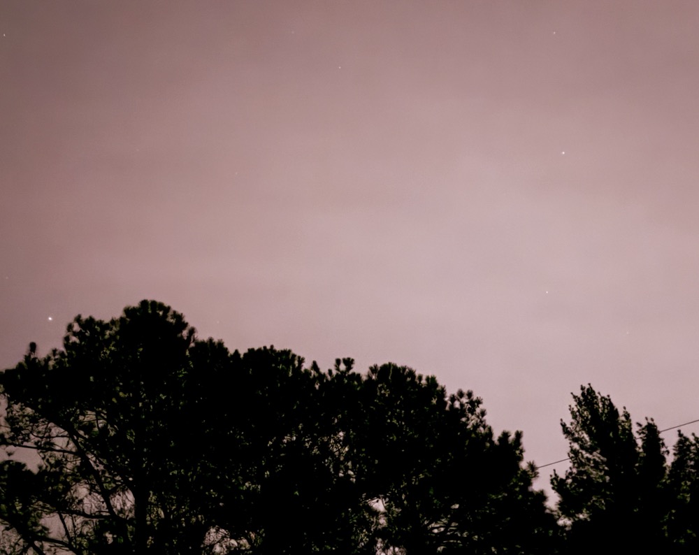 PROGENY MAXED OUT QUOTIENT YF