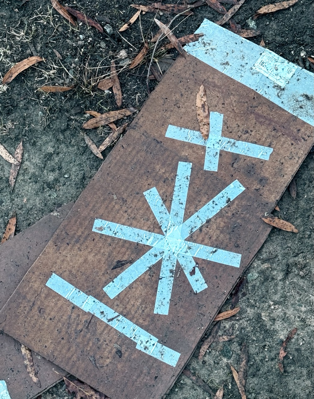 DANGLED EROGENOUS 1999