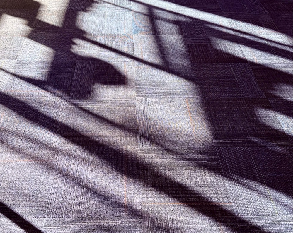 BEWILDERED LUMINOUS HK