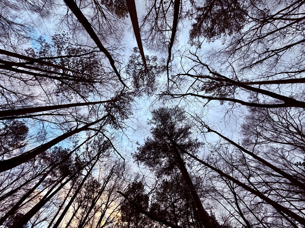 JUICED GOZER IRRESPECTIVE B7 PROMO