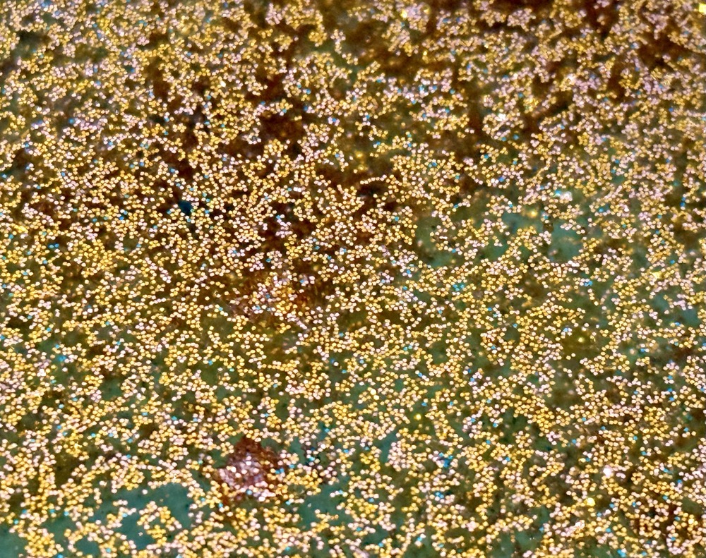 A HOT DOG CUT INTO PIECES