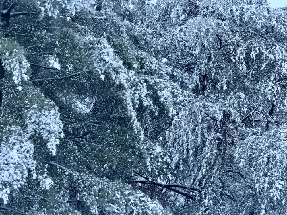 BIT LEVEL SYSTOLIC ARRAY