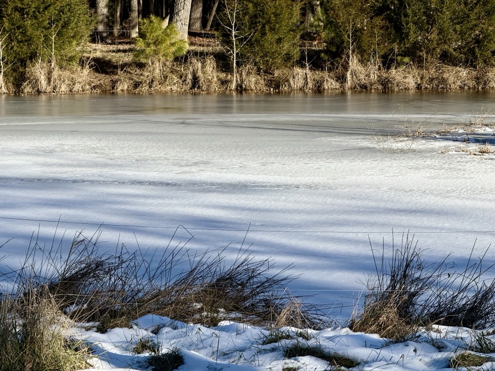 DS PROXIMASCAPE NANO