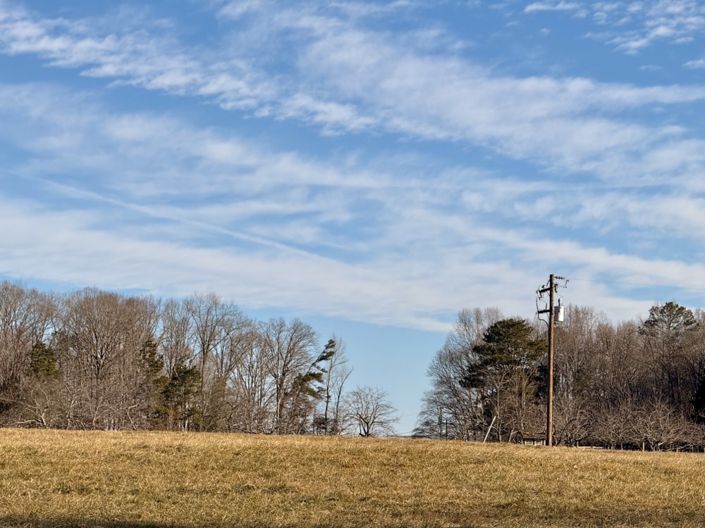 CHROMED OUTRIGGERS XV