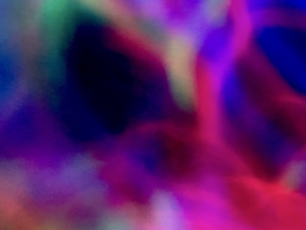 BOBCAT CARCASS DECAYS ON PATIO