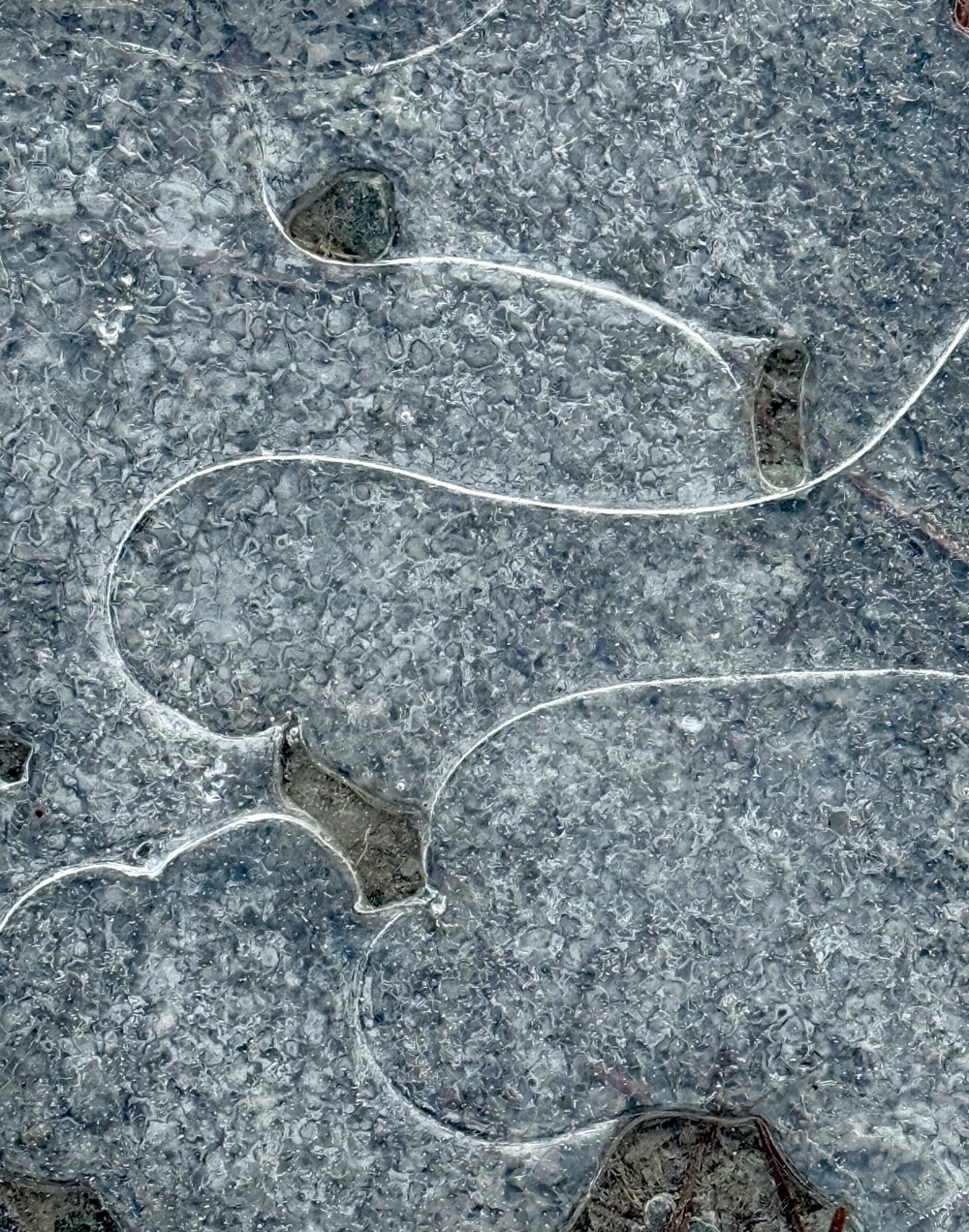 THE DEVIL IN HELSINKI