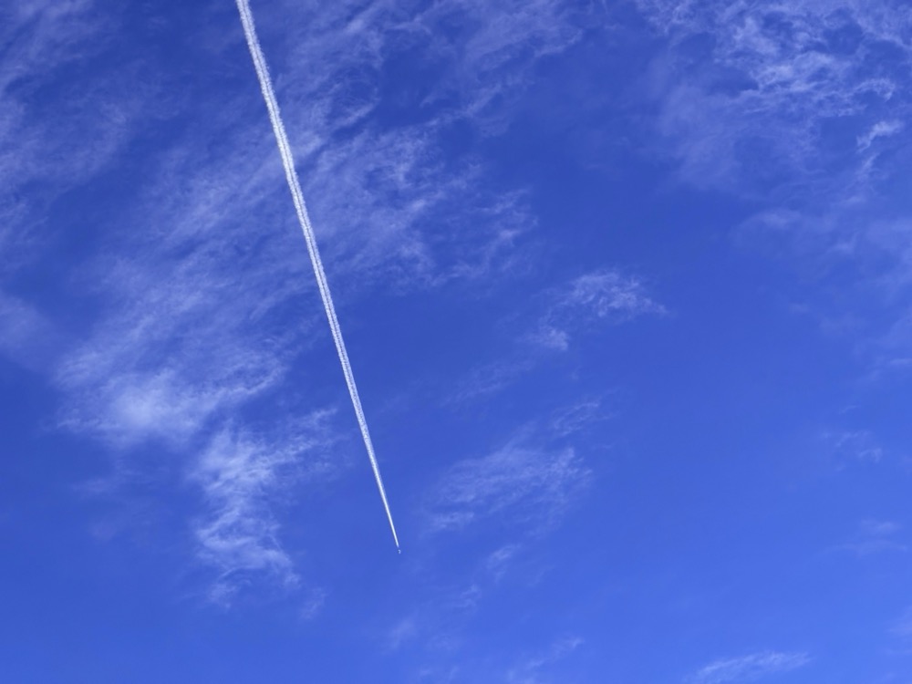 ANAEROBIC CROUTON GS