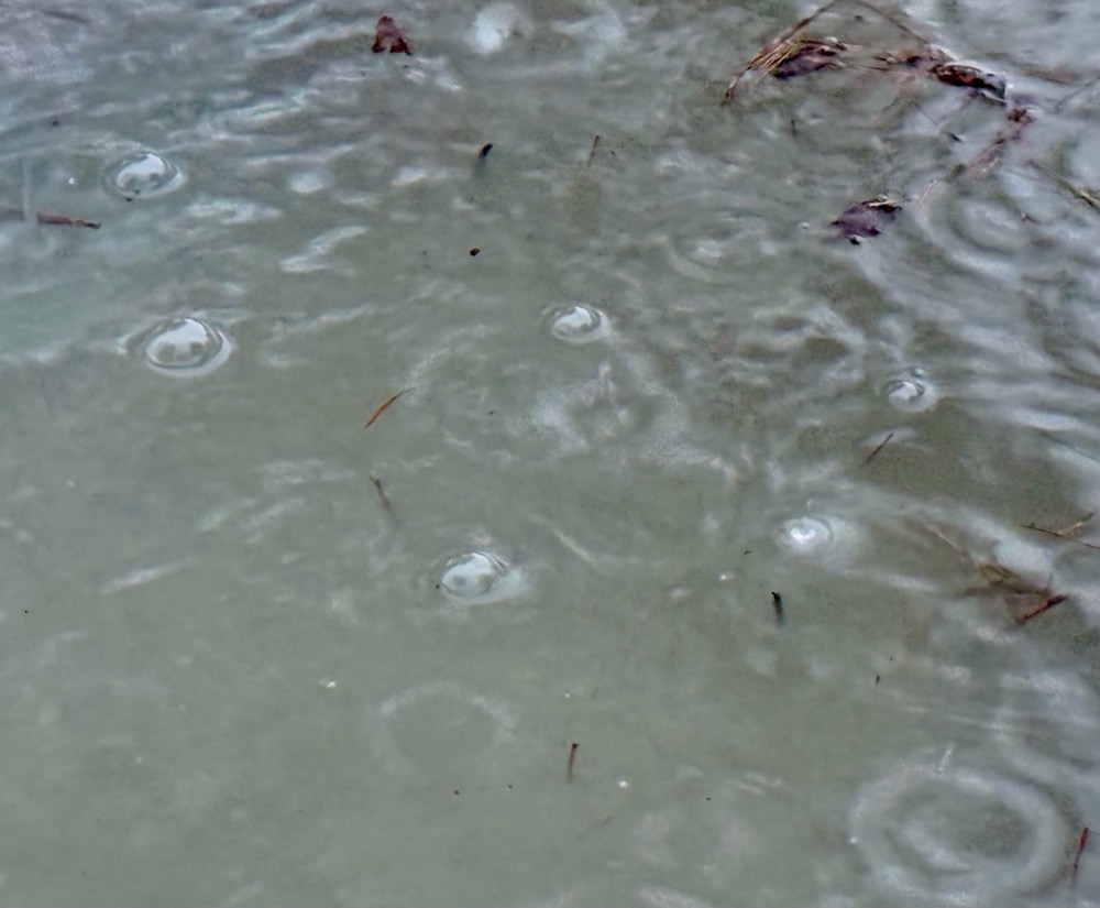 PSYCHOPATH BUMMER MILKED