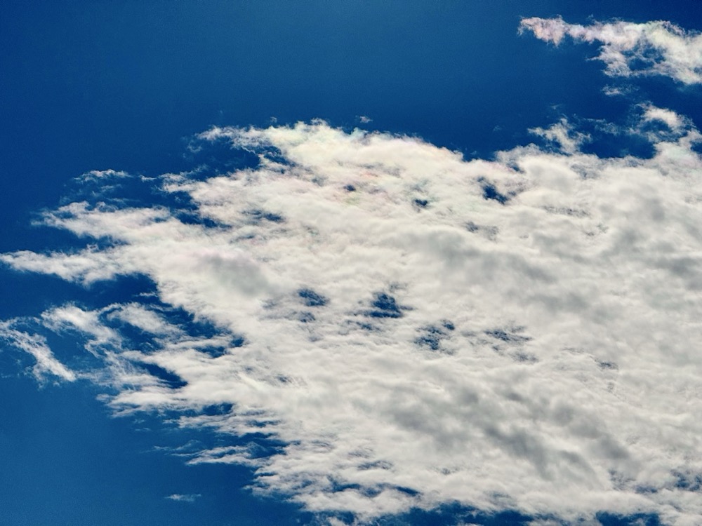 PROTOCULTURE RATIONAL