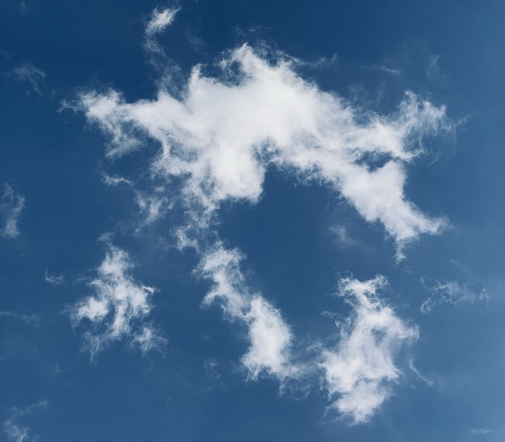 BASED JELLY JAM JUNER