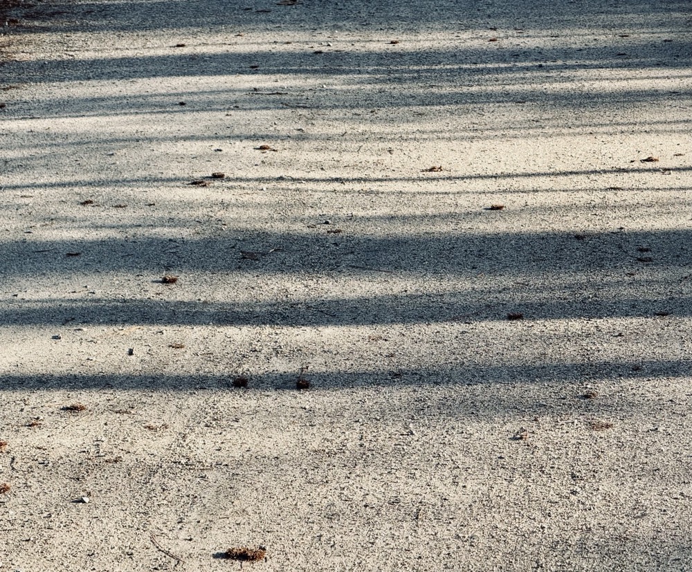 VESTIBULE K7 PRODIGY