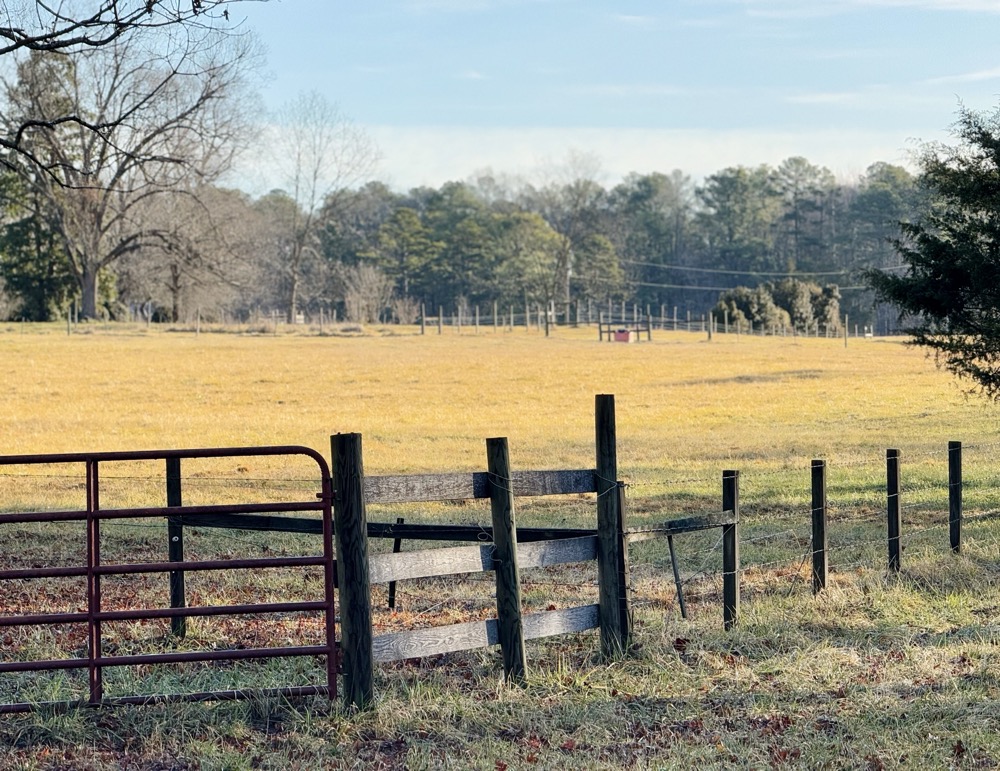 DAYGLOW TOKEN EXCHANGE