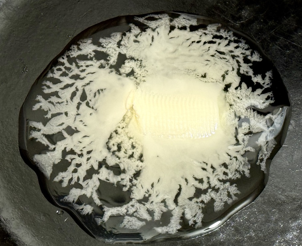 BOOF ANTLER MICROCHIP