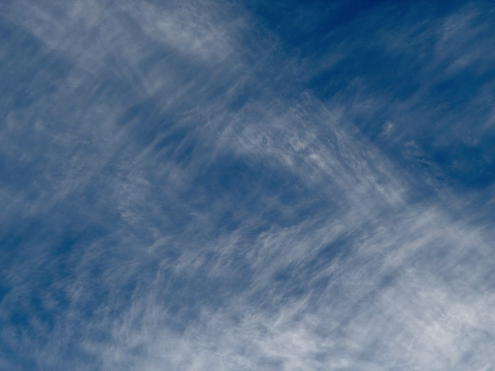 TECHNOLOGY EXCHANGE COMMUNION