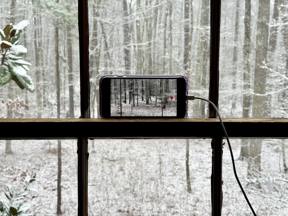 NITRO GROSBEAK HELD SNAKES